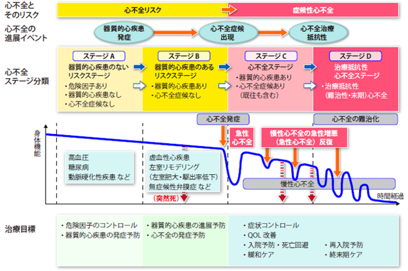 心不全画像
